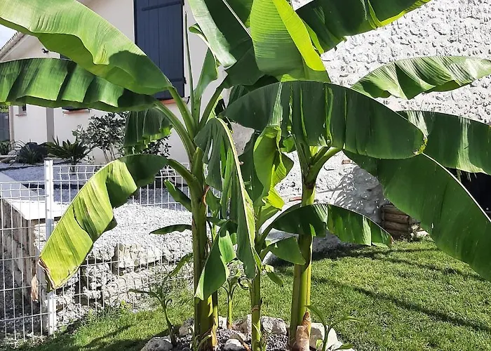Сasa de vacaciones Le Domaine Vesque Saint-Pierre-de-Clairac